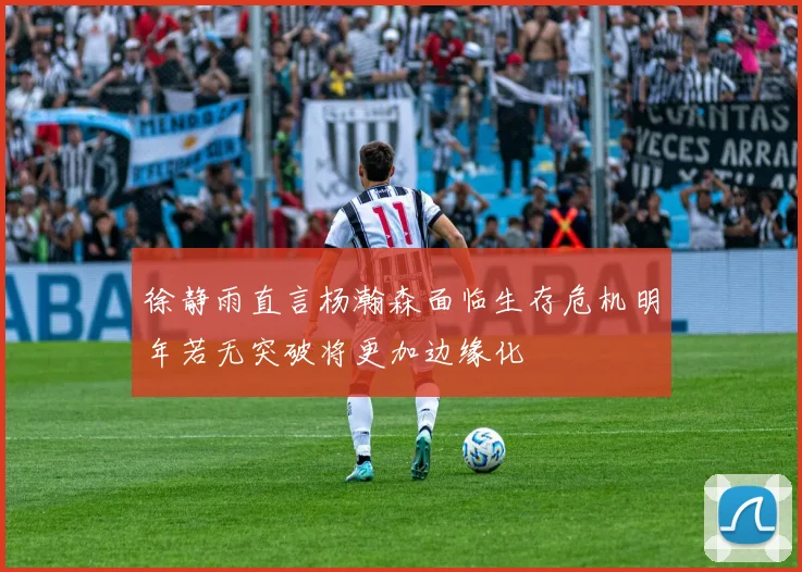 徐静雨直言杨瀚森面临生存危机明年若无突破将更加边缘化